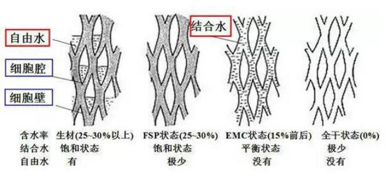 木材中的水分分为三类