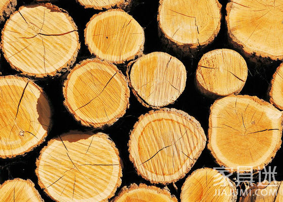进口木材种类