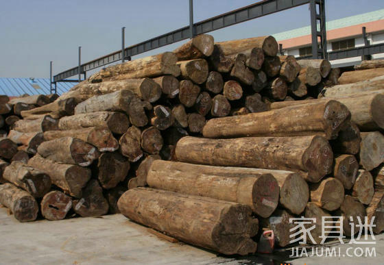 进口木材品种