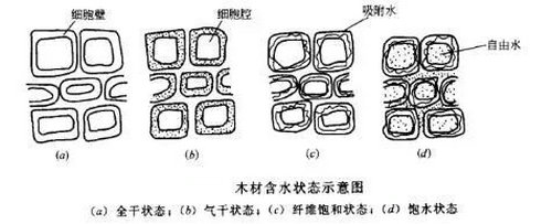 木材中的水份