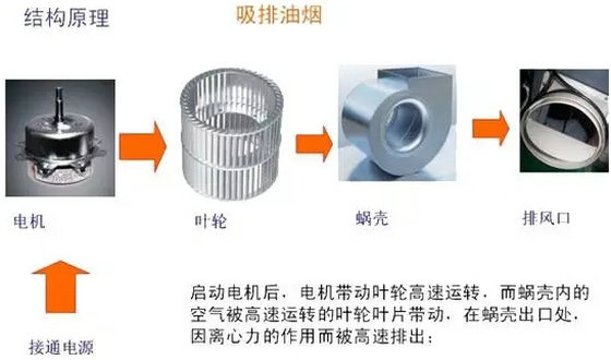 抽油烟机结构原理图.webp